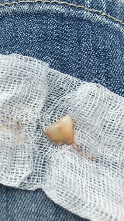 Page Thierry, Dentiste à Plozévet