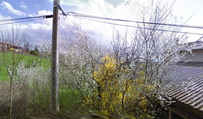 Céline technicien dentaire équin, Dentiste aux Côtes-d'Arey