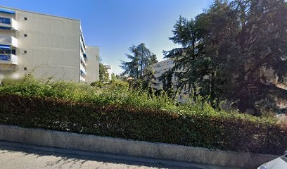 Nicolas Patrick, Dentiste à Nice