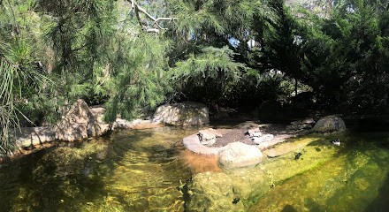 Cabinet Dentaire Dr LAY, Dentiste à Toulouse