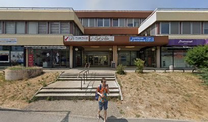 Delalande Jean, Dentiste à Ferney-Voltaire