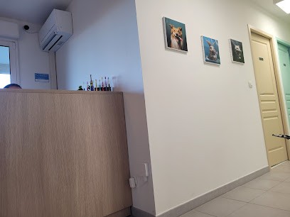 Dr Mathilde LEJEUNE, Dentiste à La Farlède