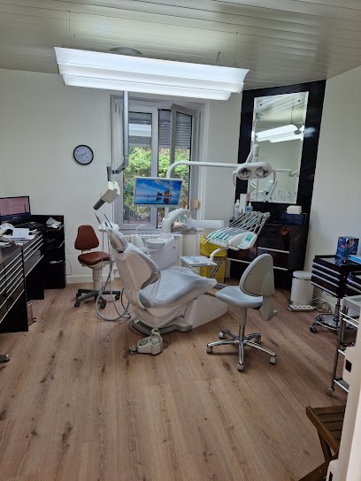 Doctor Dana Petrou, Dentiste à Saint-Julien-de-Concelles