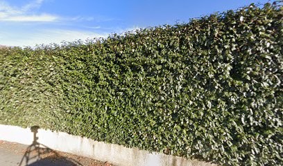 De Raulin Stanislas, Dentiste à Montferrier-sur-Lez