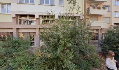 Grindei Norbert, Dentiste à Colmar