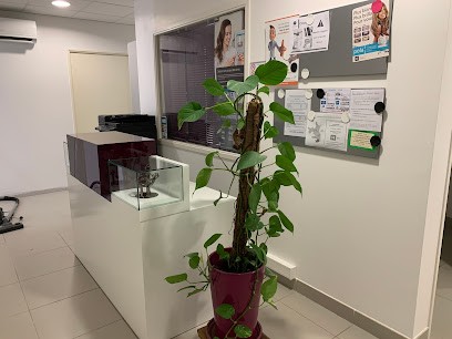 Dr Cartoux Elizabeth, Dentiste à Aimargues