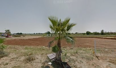 Cabinet Dentaire Des Dr MUTEL, Dr HOCQUARD Et Dr DRAY, Dentiste à Mauguio