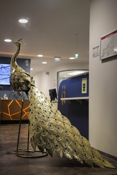 Dentalzen, Dentiste à Rouen