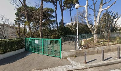 Madar Julien, Dentiste à Marseille 13