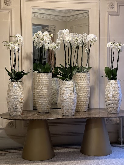 Dr Ramzi Redissi - Chirurgien dentiste - Paris 8, Dentiste à Paris 08