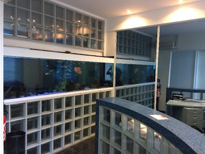 Dibas Franck, Dentiste à Ronchin