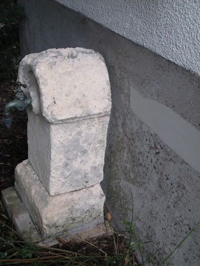 Becker Caroline, Dentiste à Toulon