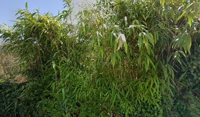Descoudard-Chatard Isabelle, Dentiste à Isle
