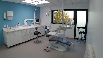 Michetti Jérôme, Dentiste à Verfeil