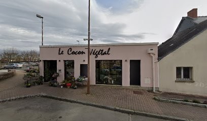 Seriau Pierre Jean-Claude, Dentiste à Bédée