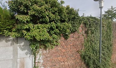 Delsaux Gérald, Dentiste à Pont-à-Marcq