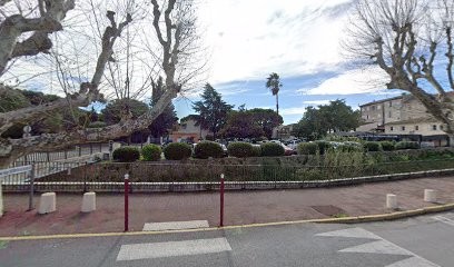 Laik Louis, Dentiste à Pégomas
