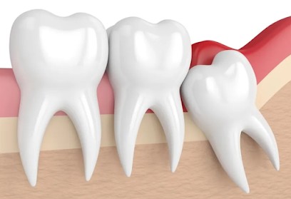 Cabinet dentaire des Dr Clémence LEBETTRE et Dr Fanny FAVRE, Dentiste à Chambéry