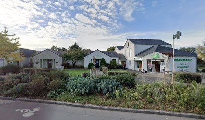 Régnault Michel, Dentiste à Nantes