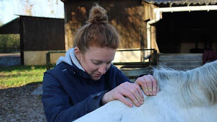 Florine Grard - Technicien Dentaire Équin Et Ostéopathe Pour Animaux, Dentiste à Brusvily