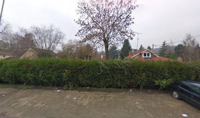 Levernieux-Maton Anne, Dentiste à La Ferté-Alais