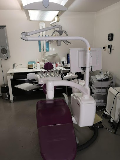 Docteur Carmen Havasi, Dentiste à Nice