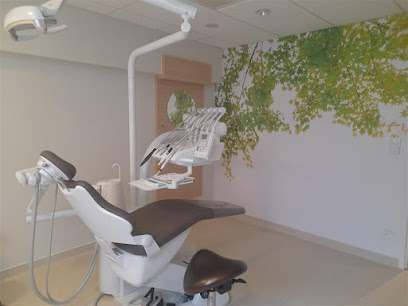 Centre Dentaire Mutualiste Perpignan Coeur De Ville, Dentiste à Perpignan