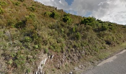 Richaud Dominique, Dentiste à Afa