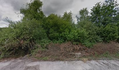 Chirurgien dentiste Gérard BUHAJ, Dentiste à Chabanais