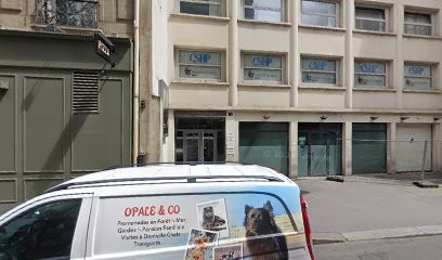 Chirurgie esthétique, Dentiste à Paris 08