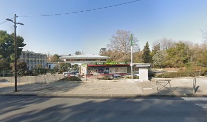 Leanti Pascal, Dentiste à Marseille 13