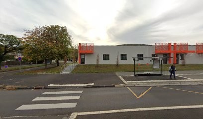 Dr Maxime SACCOMANI, Dentiste à Romagnat