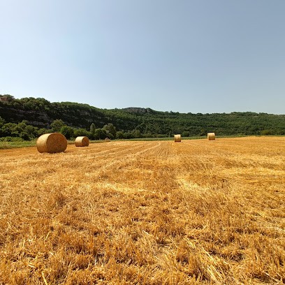 Cabinet Dentaire Dr Lavergne Eric, Dentiste à Rodez