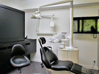 Dr Alexandre PUIDUPIN Dentiste, Dentiste à Villeurbanne
