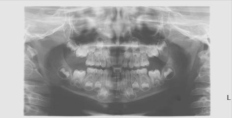 Kerbellec Marie-Laure, Dentiste à Plouharnel