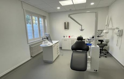 Dr Thomas Lhomme-Perrot Dentiste à Amplepuis