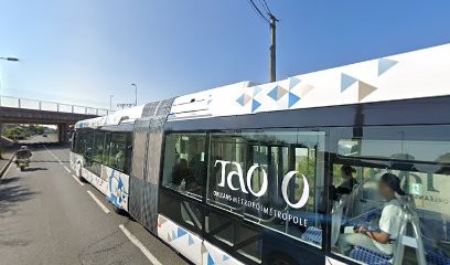 Dr AIRES Ana, Dentiste à Saran