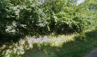 VINCENT Blandine, Dentiste à Coutances