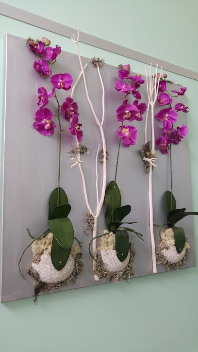 Houtin Virginie, Dentiste à Herblay