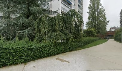 Docteur Bidault Emilie, Dentiste à Vélizy-Villacoublay