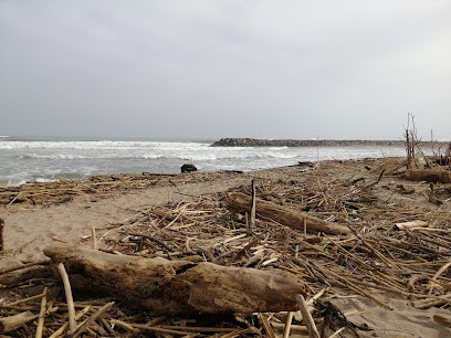 Dr Marine LAI WAI, Chirurgien-dentiste Montpellie, Dentiste à Montpellier