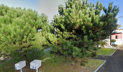 Mercier Jean-Louis, Dentiste à Vitré