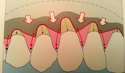 Dr André Escaut - Parodontiste, Dentiste à Paris 17