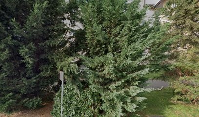 Dr Poupelin Emma, Dentiste à Saint-Julien-en-Genevois