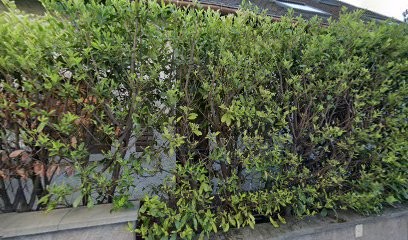 Cabinet Dentaire Meyer, Simon et Rémond, Dentiste à Fegersheim