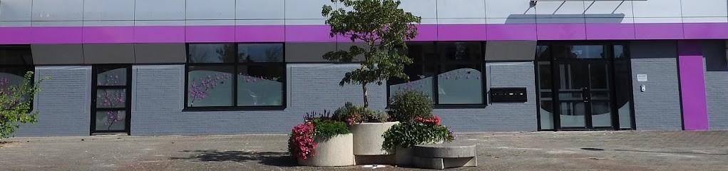 Dr Nguyen Lucie - Pratique limitée aux actes d'Orthodontie, Dentiste à Chemillé-en-Anjou