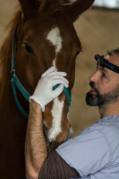 Nicolas Keriven Technicien Dentaire Equin, Dentiste à Larchant