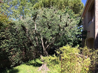 Cabinet dentaire du docteur Attali Fabrice, Dentiste au Beausset