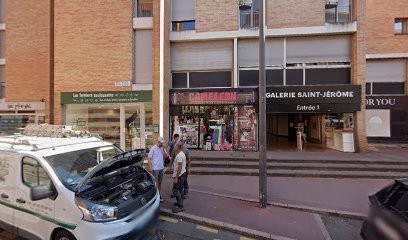 Docteur Pauline Fargues, Dentiste à Toulouse