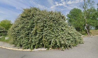 Cabinet dentaire des Drs Philoctete, Sergent et Maillotte, Dentiste à Ramonville-Saint-Agne